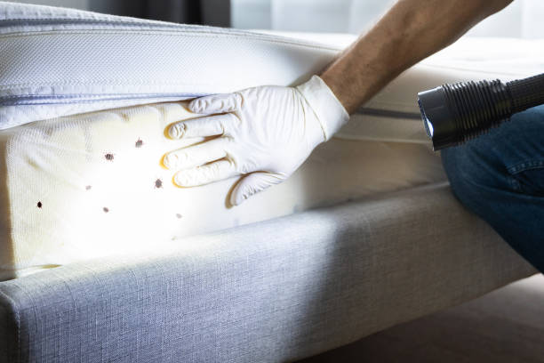 Professional Pest Control in Shrewsbury, PA
