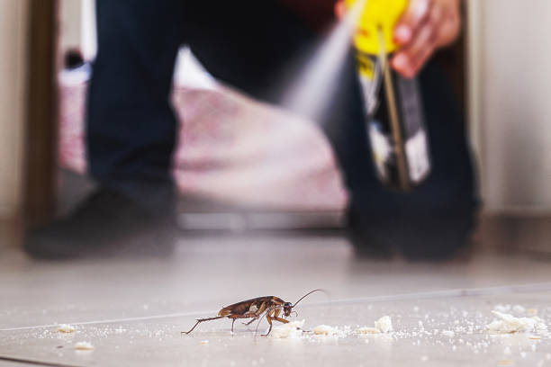 Best Mosquito Control Services  in Shrewsbury, PA